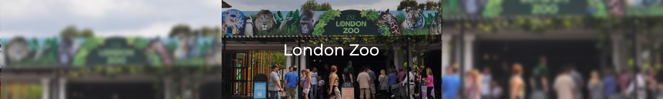 London Zoo